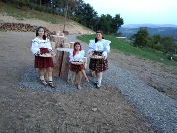Фотографии Гостевой дом Pensiunea Valea Branzei г. Năneşti (Румыния) №5 Фото Гостевой дом Pensiunea Valea Branzei г. Năneşti 5